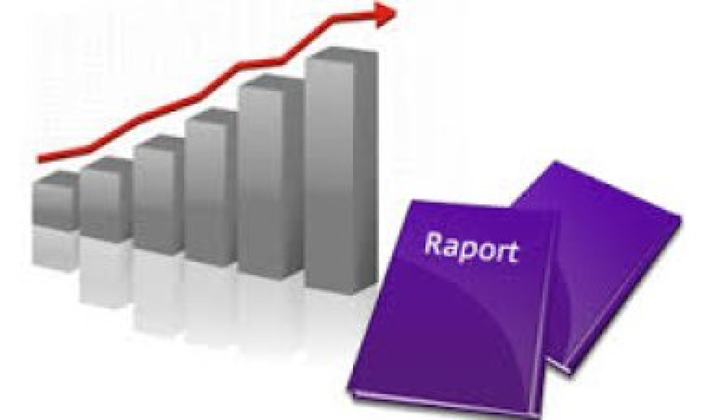 Raport de monitorizare a contractelor 2025